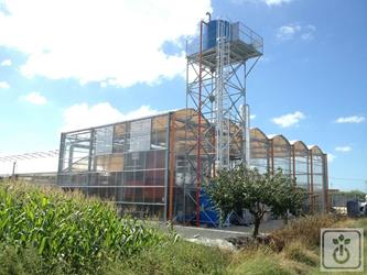 Biomass-plant-for-heating-greenhouses-GOME-Hi-Tech-Resource